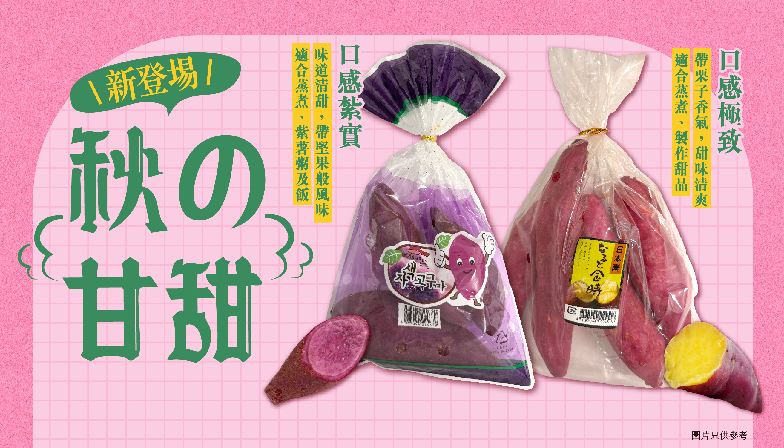 Sweet Potato
